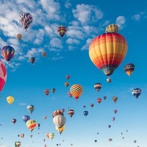 Meet your Posher, Selena